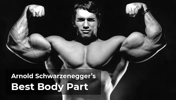 Schwarzenegger's Best Body Part