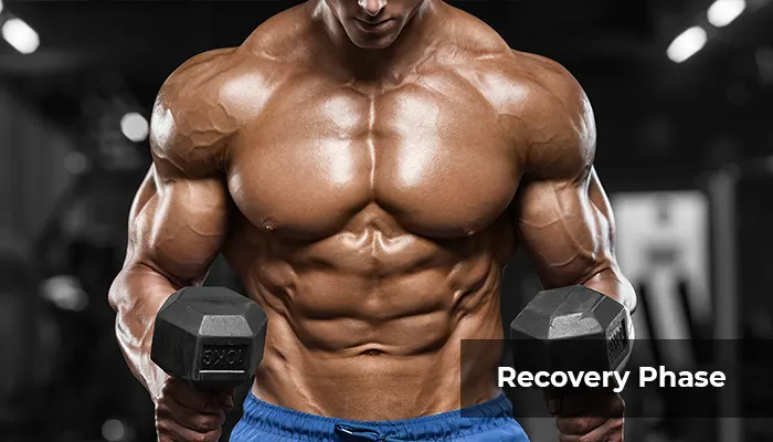 MMA workout recovery phase